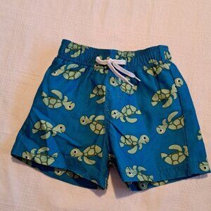 Gymboree boys size 6-12 months Turtle Tykes Line swim shorts PUL lining EUC